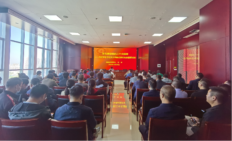 紧跟核心强忠诚 在深学细悟中坚定信仰信念 ——半岛网页版登入界面-半岛online(中国)负责人汪洋同志为全体党员讲授主题教育专题党课